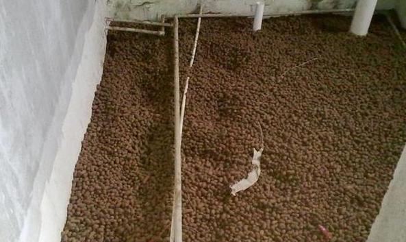 原來下沉式衛(wèi)生間回填要這么做才滴水不漏，難怪我家墻根都發(fā)霉了