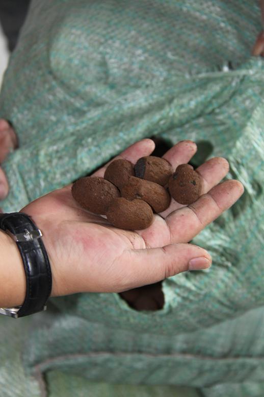 原來下沉式衛(wèi)生間回填要這么做才滴水不漏，難怪我家墻根都發(fā)霉了