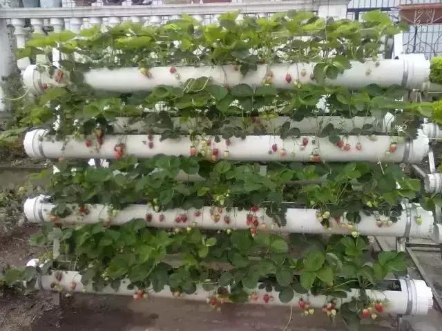 家里裝修完，剩下的管子一定不要扔掉，這樣做值大價(jià)錢！