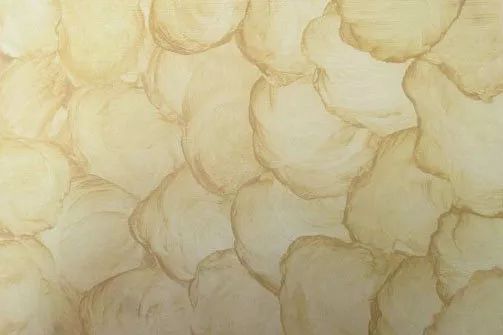 藝術(shù)涂料又火了！你知道其實(shí)它有十幾個表現(xiàn)形態(tài)嗎？_14